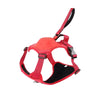 Dog Harness Leash Set