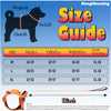 Dog Harness Leash Set