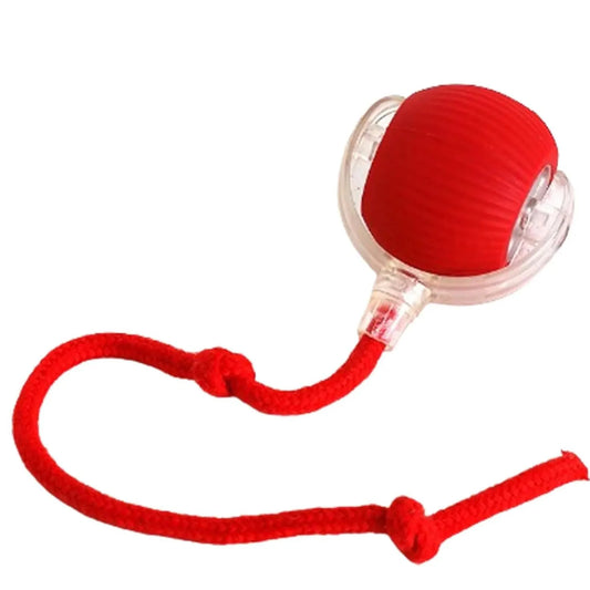 Pet Ball Rolling  Toy